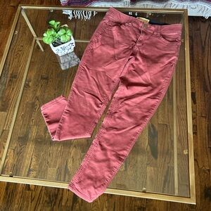 Democracy Women's Rust Skinny Pants